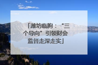 潍坊临朐：“三个导向”引领财会监督走深走实